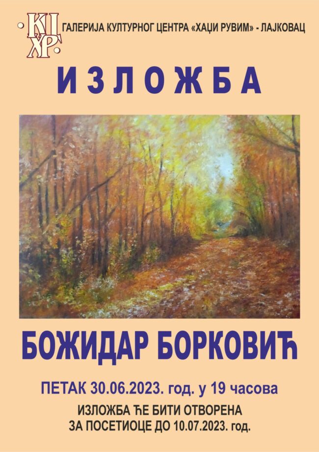 IMG-af980e0da03337ece0389f79d9d6741b-V